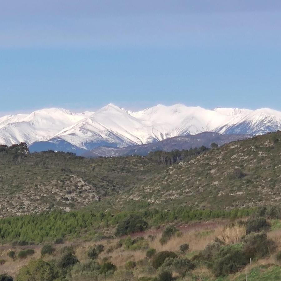 Casa Rural Cal Fuster Experience Terrades Εξωτερικό φωτογραφία